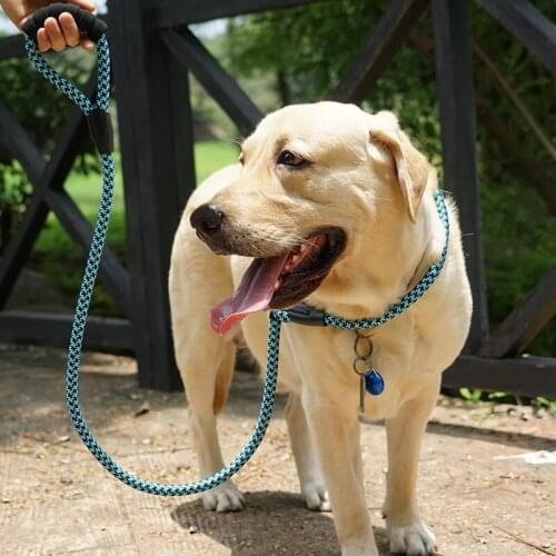 Dog Leash with Pouch Padded Handle and Highly Reflective Threads Quality Slip Lead for Small Medium and Large Dogs