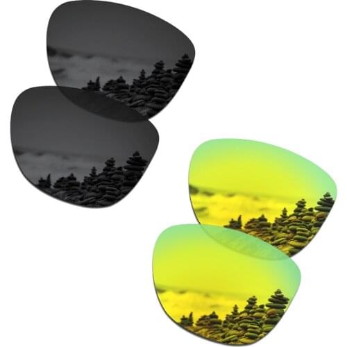SmartVLT 2 Pairs Polarized Sunglasses Replacement Lenses for Oakley Frogskins Stealth Black and 24K Gold