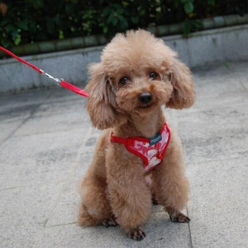 Small Medium Dog Harness for French Bulldog Pug Cats Vest Polka Dot Camouflage Adjustable Harness Embroidery Soft Pets Accessory