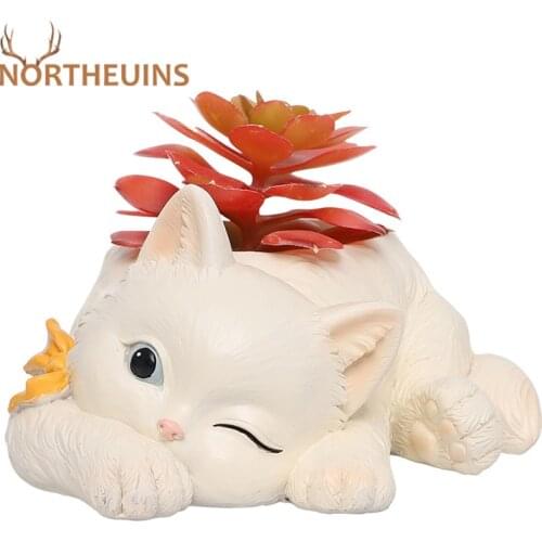 NORTHEUINS Pots