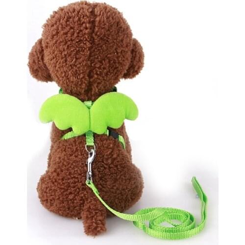 Dog Collar Lead Angle Wings Vest Dog Harness Leash Pets Accessories For Chihuahua Cat Harness And Leash Set Chest Strap Rope