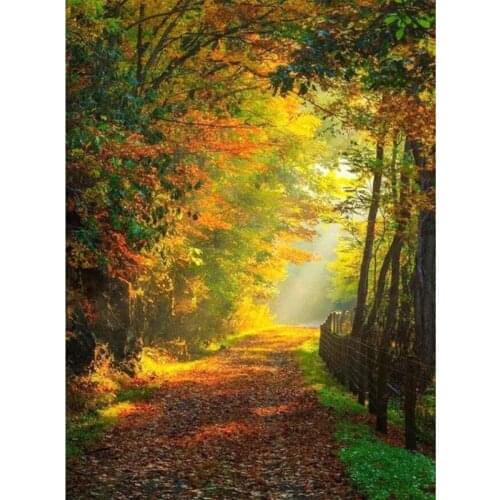 Diy Diamond Painting Woods Landscape Mosaic Embroidery Sale Road 5D Cross Stitch Kit Full Square Round Drill DecorationZP-4275