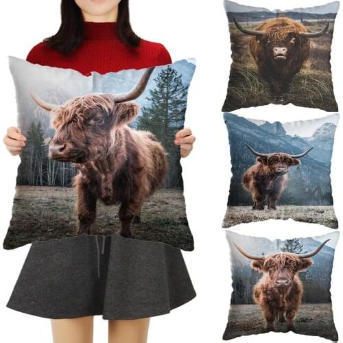 Sofa Home Decor Cushion Scottish Highland Cattle Cow Print Pillow Kid Gift Short Plush Throw Pillows With Filling 45x45cm