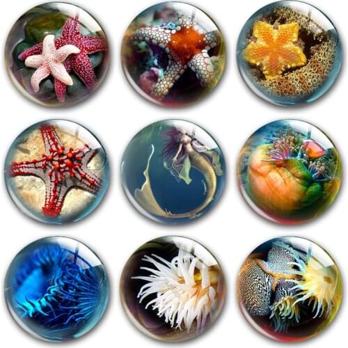 Hand made Ocean life starfish round photo glass cabochon demo flat back, DIY collar brinco de pressão jewellry making supplies