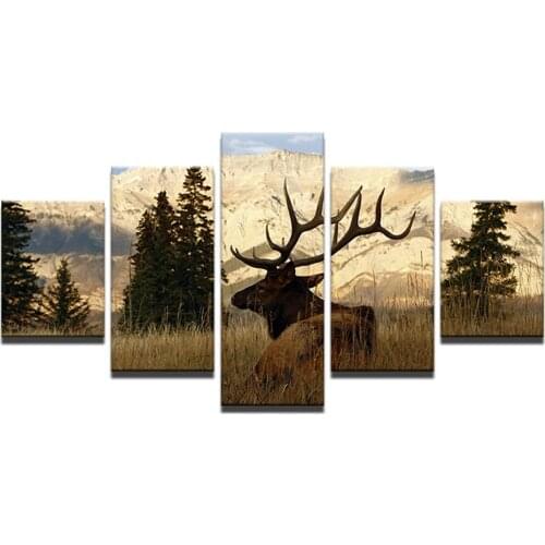 5 Panel Canvas Painting modern home decorative Printed Painting on canvasl Wall art Framed Art HG-1013