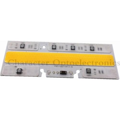 5pcs Waterproof High Power LED COB Chip Lamp AC 110V 220V 50W Smart IC LED Outdoor Floodlight DIY light bombillas