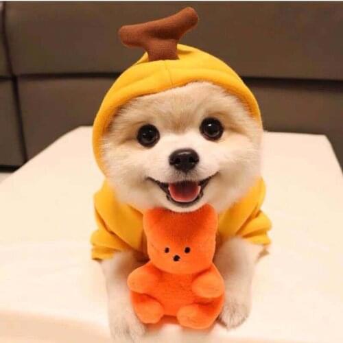 Cat Dog Hooded Sweater Fleece Clothes 3D Fruit Pattern Adjustable Drawstring Jumper Puppy Pet Four-legs Costumes Plus Size