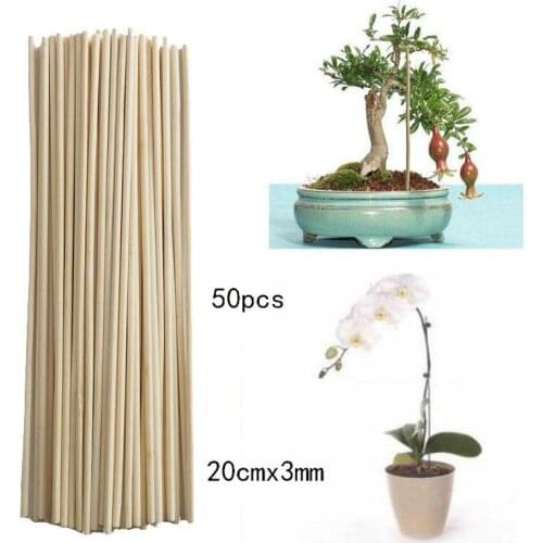 Bamboo Stick Plant Growth Support Frame Small Bonsai Branch Vine For Houseold Garden Supplies Droppshiping