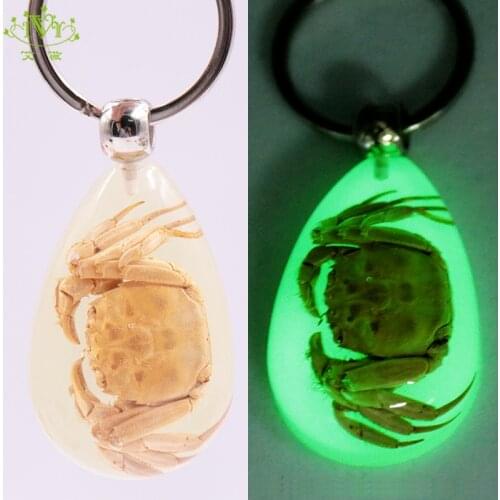 Natural Crab Keychain Glow-in-the-Dark Real Insect Keychain Beetle Key Ring Specimens Collecting Trinket Keychains for Men IVR