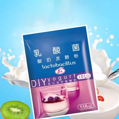 Yogurt Yeast Starter Natural Probiotics Home Made Lactobacillus Fermentation