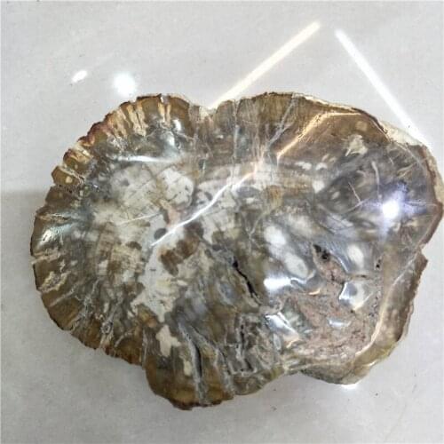 Natural stone and crystal woodstone fossil tree for coaster home decoration