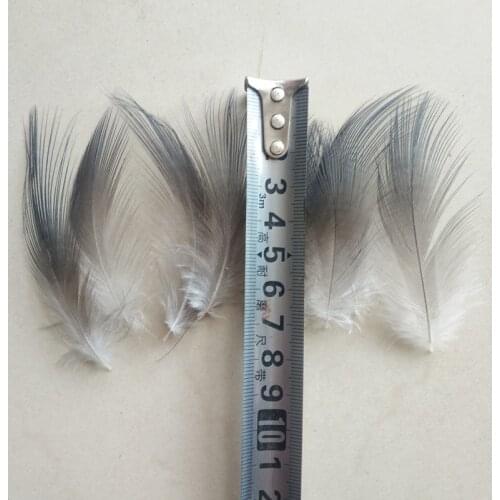 50 PCS Rare Heron Feather 2-3 inches / 5-8 cm Beautiful Natural Heron Feathers