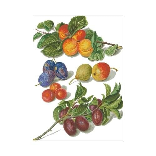 TG-3062 Fruit-Apricot Needlework,For Embroidery,DIY 14CT Unprinted Arts Cross stitch kits Set Cross-Stitching Home Decor