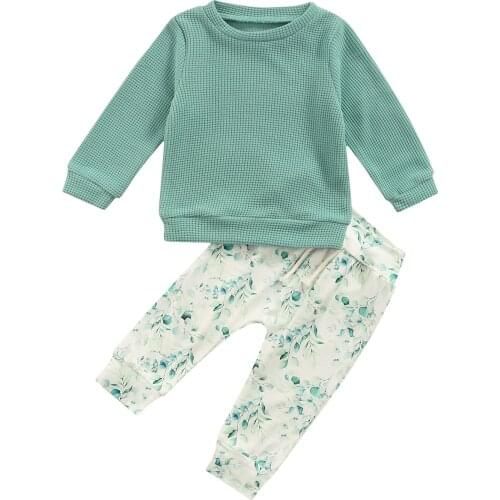 2 Pcs Kids Casual Outfits, Solid Color Long Sleeve Round Neck Sweatshirt + Plant Print Pants