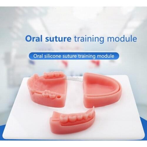 1 dental medical periodontitis suture model oral suture training module