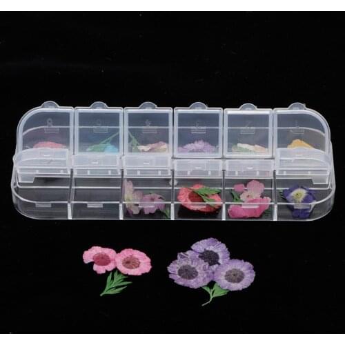 Boxed Natural Pressed Real Dried Flowers DIY Phone Case Jewelry Resin Crafts