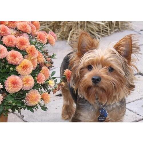 5D DIY Diamond Cross Stitch Painting kits Animal Cute Dogs Full Drill Resin Square Round Diamond Mosaic Pattern Home Decor