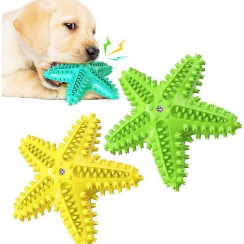 Rubber Dog Chew Toys Dog Toothbrush Teeth Cleaning Sound Dog Toy Pet Toothbrushes Brushing Stick Starfish Pet Puppy Popular Toys