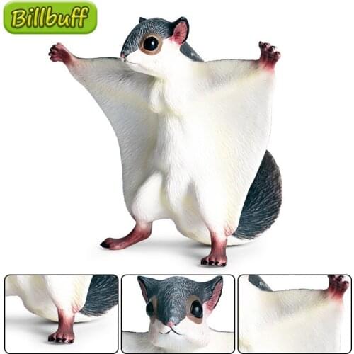 2020 Simulation Wild Animals PVC Fly Squirrel Models Action Figures Collection Miniature Cognition Educational Toys for Children
