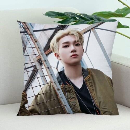 P1Harmony Pillow Cover Bedroom Home Office Decorative Pillowcase Square Zipper Pillow Cases Satin Soft