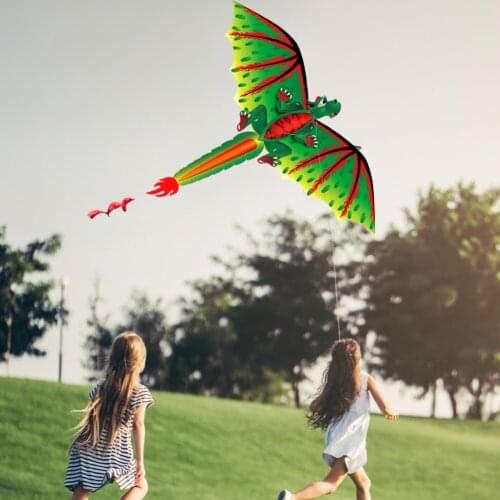 3D Dragon Nylon Kite Single Line With Tail Family Outdoor Sports Toy Children Kids Outdoor Sports 100m