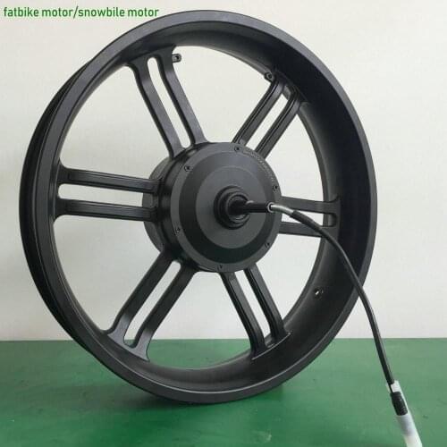 24v36v48v350w BLDC gear motor+frontwheel 20inch rear driven v brake/disc brake for snowmobile electric bike/MTB fatbike diy part