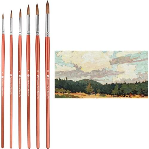 6Pcs Artist Paint Brushes Set with Wolf Hair, for Detail Painting, Wooden