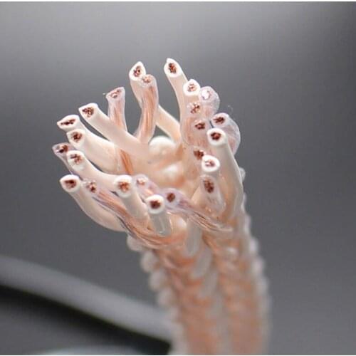 Hifi 24 Strands12TC Speaker Cable Hi-end Pure OCC Diy Speaker Amplifier CD DVD Player Turntable Speaker wire