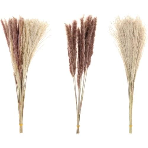 Farmhouse Rustic Dried Pampas Grass Phragmites Home Party Table Boho Décor