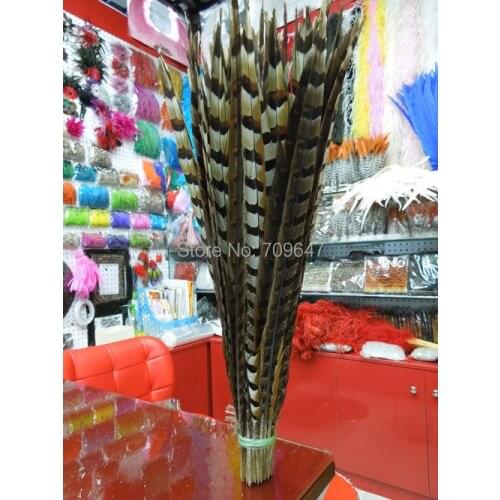 Pheasant Feathers,22-24inch 55-60cm Natural Reeves Venery Pheasant Tail Feathers-200Pcs per lot,long feather,feathers decoration