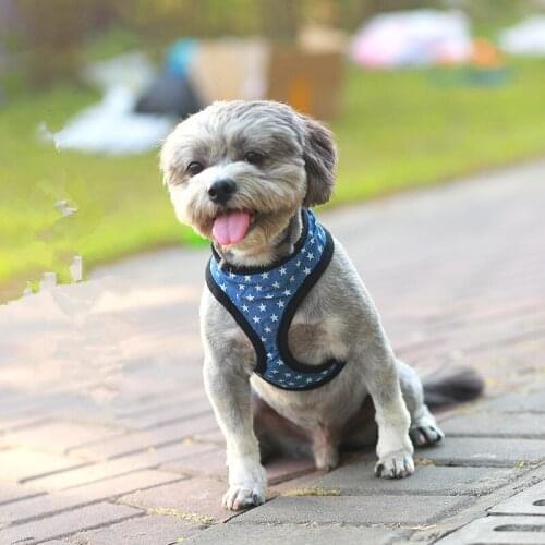 No Pull Dog Vest Harness for Small Medium Dogs Breathable Soft Padded Pet Puppy Harness Pitbull Bulldog Pug Products