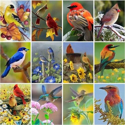 Diy Birds 5D Diamond Painting Full Square Drill Animal Diamond Embroidery Set Mosaic Cross Stitch Home Decor Wall Art Gift