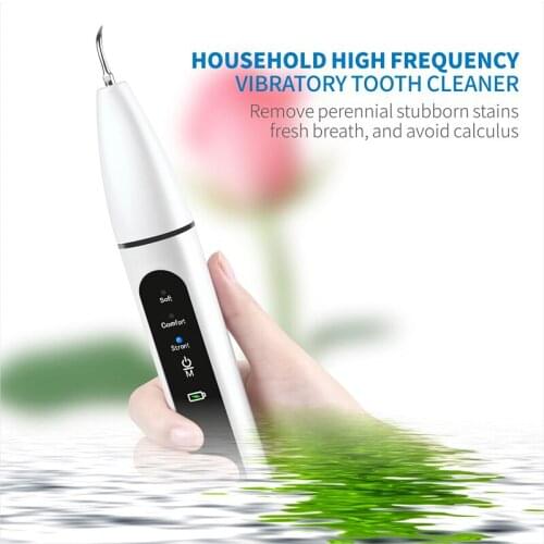 USB Recharge Vibrition Sonic Dental Scaler Calculus Remover Dental Flosser Teeth Whitening Ultrasonic Tooth Cleaner with 2 Tips