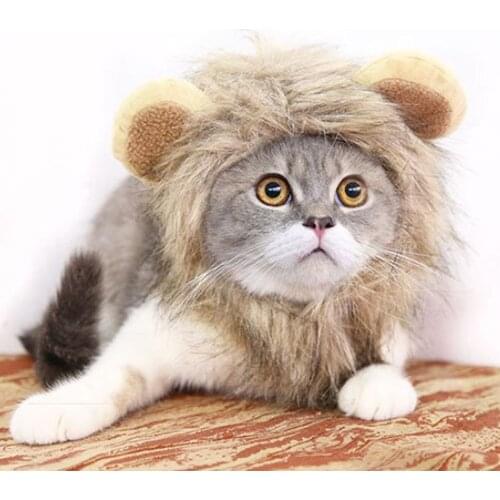 Bonytain Products For Cats