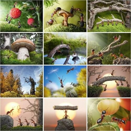 Rhinestone Home Decoration 2020 New Diamond Painting Ants World Fairy Tales DIY Diamond Embroidery