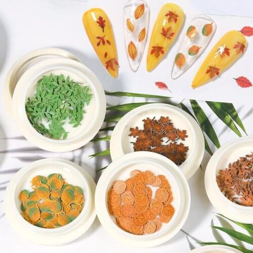 2020 New Autumn Nail Art Wood Pulp Piece Jewelry Green Grass Maple Leaf Nail Sticker Nail Salon Design Decoration Tools/1box