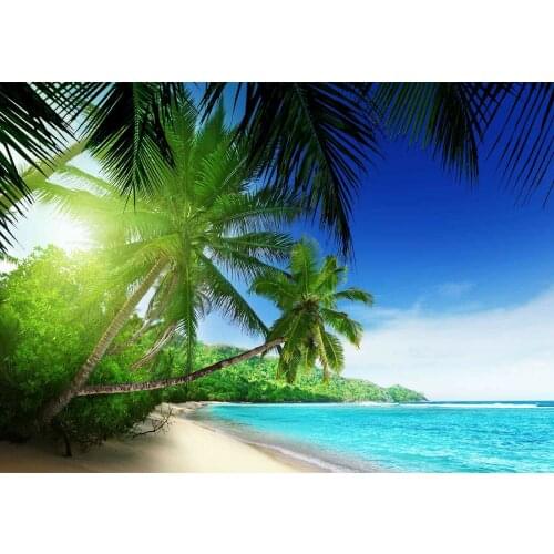 Beach Sandy Palm Lined Tropical Giant Art print Silk poster Home Wall Decor