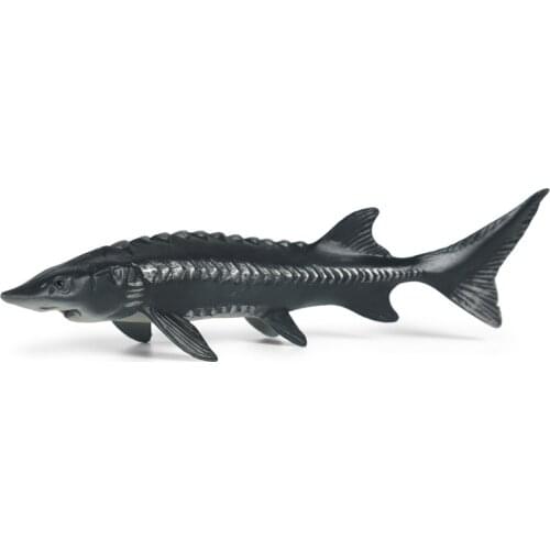 Acipenser Sinensis Animal Model Action Figure Sea Animal Action Figures Collection PVC Children Cognitive Toy