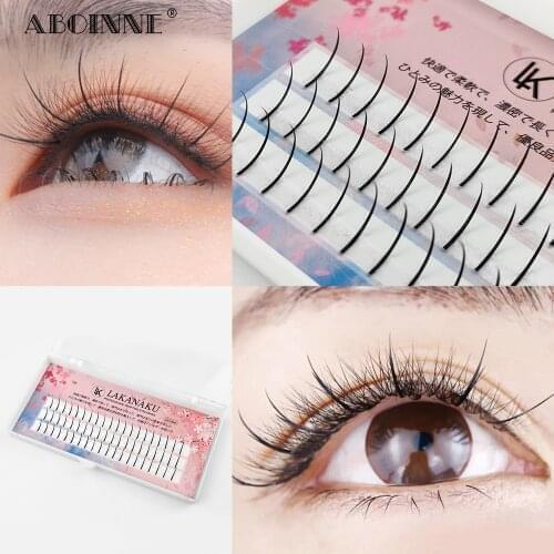 Abonnie 3D Shape Individual Eyelashes Professional Makeup 60 Cluster Natural Mink Eyelash Extensions