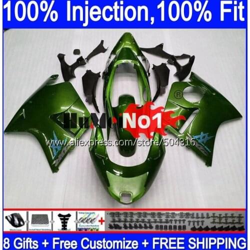 Blackbird For HONDA CBR 1100 XX CBR1100XX Gloss green 92MC.121 CBR1100XX 1996 1997 1998 1999 2000 2001 96 97 98 99 00 01 Fairing