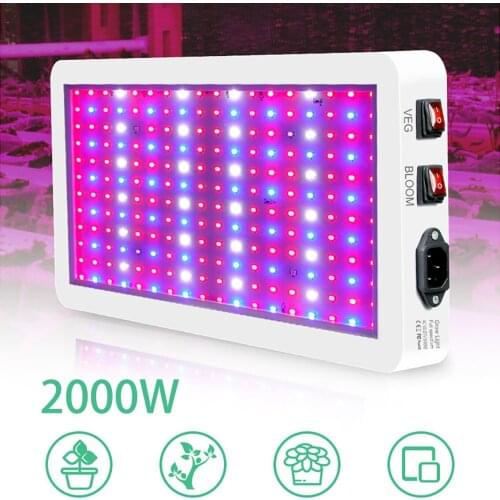 LED Plant Lamps DENGKOO China