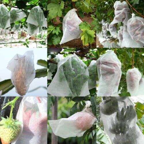 Plants Flowers And Fruits Protection Bag Insect Mosquito Net Barrier Bag Drawstring Design For Easy Installation High Quality