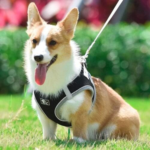 Dog Reflective Leash Harness Vest Type Adjustable Soft Breathable Dog Mesh Vest Safety Harness Pet Dog Chest Strap