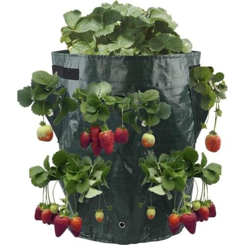 Potato Strawberry Planter Bags For Growing Potatoes Outdoor Vertical Garden Hanging Open Style Vegetable Planting Grow Bag