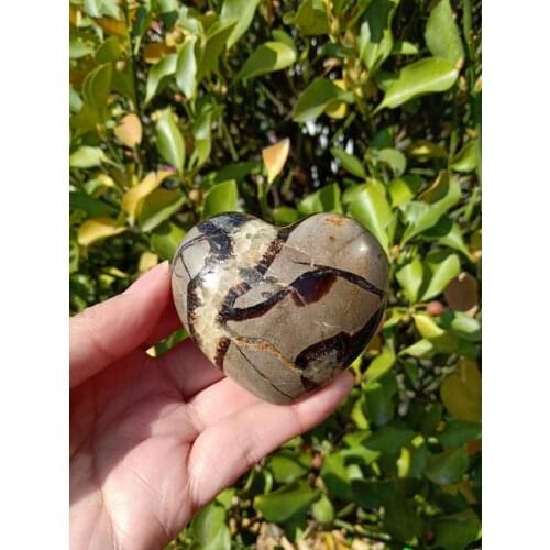 130g Natural Energy Stone Turtle Ancient Rock Specimen Heart-shaped
