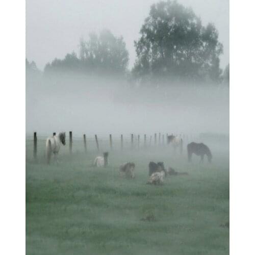 Grassland in Fog Horse Photography Backdrops Photo Props Studio Background 5x7ft
