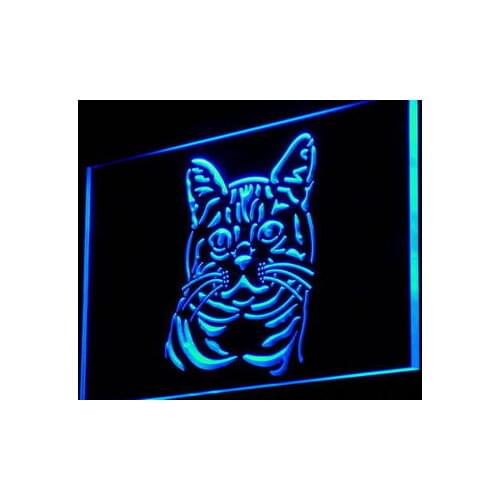I993 American Shorthair Cat Kitty Shop Pet Light Signs On/Off Switch 20+ Colors 5 Sizes