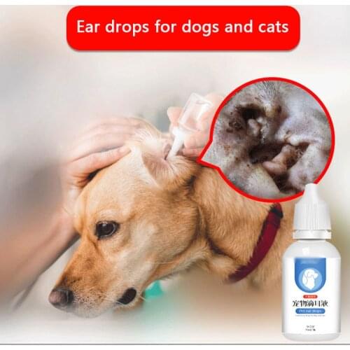Ear mites for cats and dogs ear drops for dogs to remove ear mites for cats and pets ear wash for cats and ear cleaning supplies