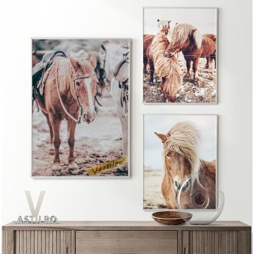 Animal Photography Art Print Canvas Painting Poster Horse Lovers Gift Idea Modern Minimalist Wall Picture Living Room Home Decor