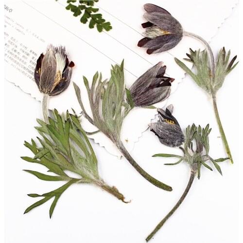 12pcs/9-12cm,Natural Pressed flower branch,Eternal real plant DIY Wedding invitations graft Bookmark Gift Cards Scented candles